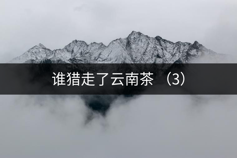 誰(shuí)獵走了云南茶 （3）