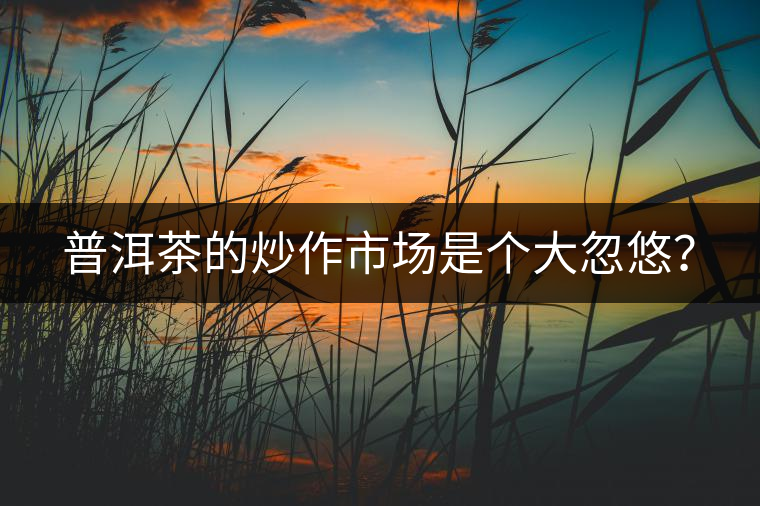 普洱茶的炒作市場是個(gè)大忽悠？