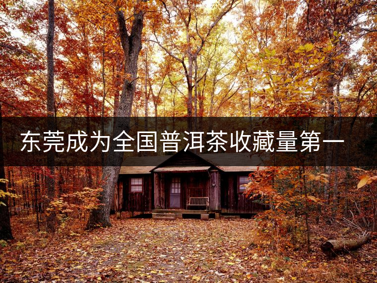 東莞成為全國普洱茶收藏量第一位的城市？