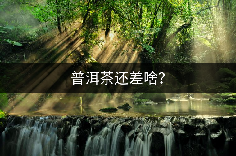 普洱茶還差啥？