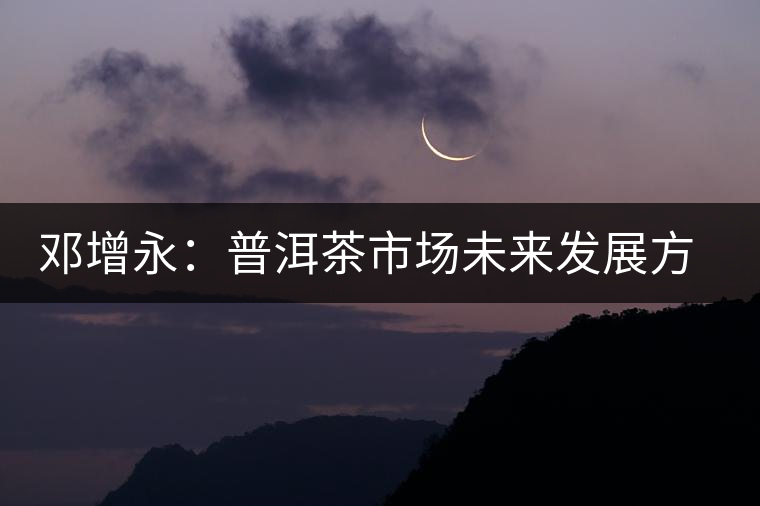 鄧增永:普洱茶市場未來發(fā)展方向展望 鄧增永:普洱茶市場未來發(fā)展方向展望