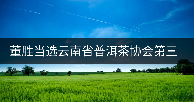 董勝當(dāng)選云南省普洱茶協(xié)會(huì)第三屆會(huì)長(zhǎng)