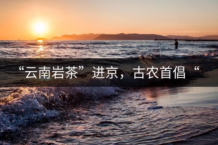 “云南巖茶”進(jìn)京，古農(nóng)首倡“名茶+名企”戰(zhàn)略