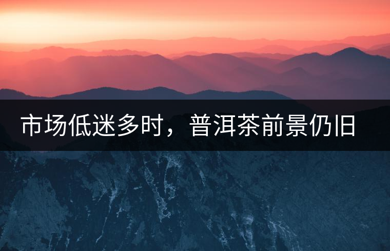 市場低迷多時，普洱茶前景仍舊被大佬們看好