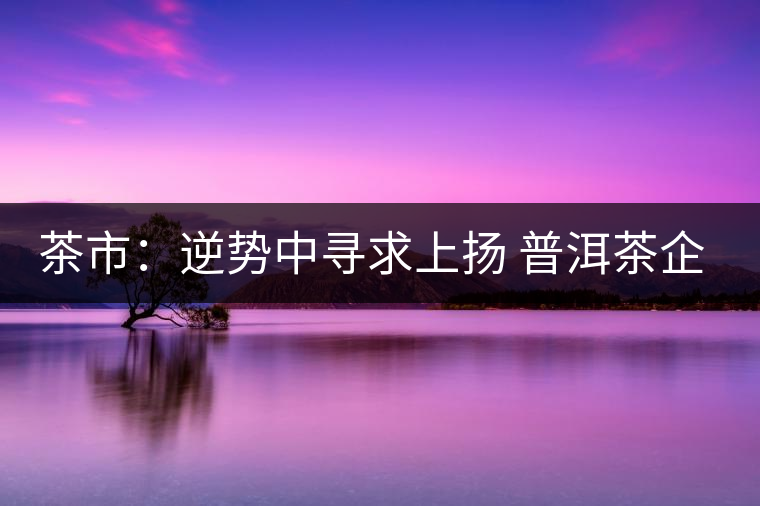 茶市：逆勢(shì)中尋求上揚(yáng) 普洱茶企靠什么打贏這場(chǎng)翻身仗？