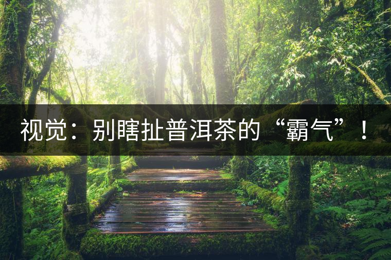 視覺(jué)：別瞎扯普洱茶的“霸氣”！偽大師！