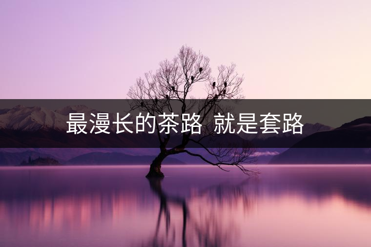 最漫長的茶路 就是套路 最漫長的茶路 就是套路