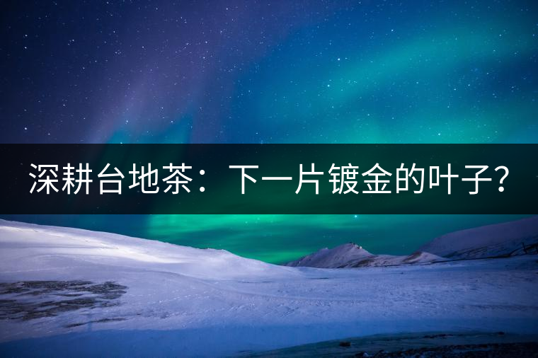 深耕臺地茶：下一片鍍金的葉子？