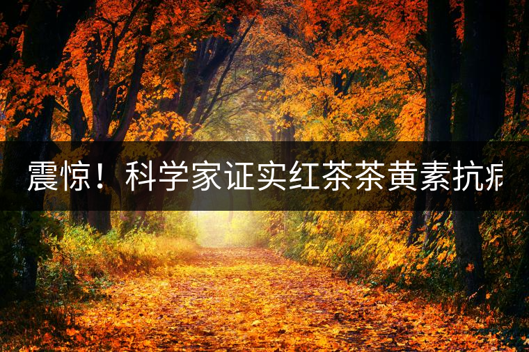 震驚！科學(xué)家證實(shí)紅茶茶黃素抗病毒新功能！