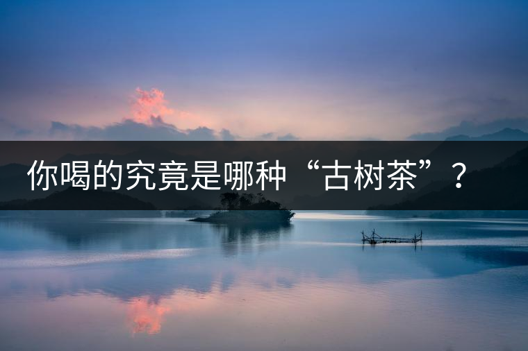 你喝的究竟是哪種“古樹茶”？（收茶必備知識）