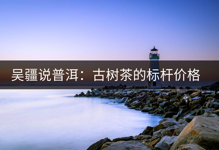 吳疆說普洱：古樹茶的標(biāo)桿價格在哪里？