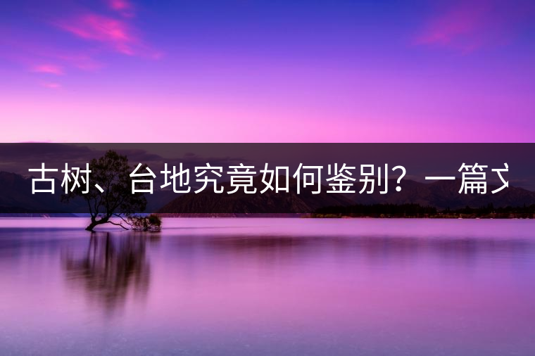 古樹、臺地究竟如何鑒別？一篇文章說透！