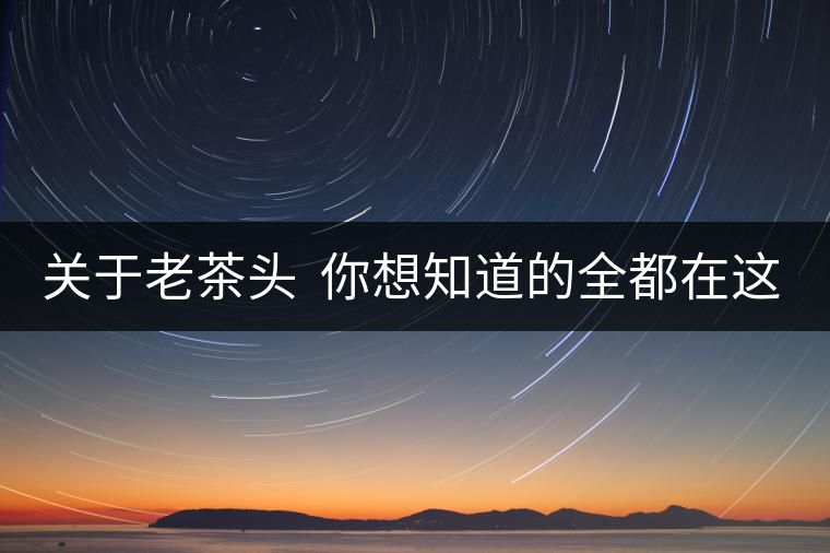 關(guān)于老茶頭  你想知道的全都在這兒啦！
