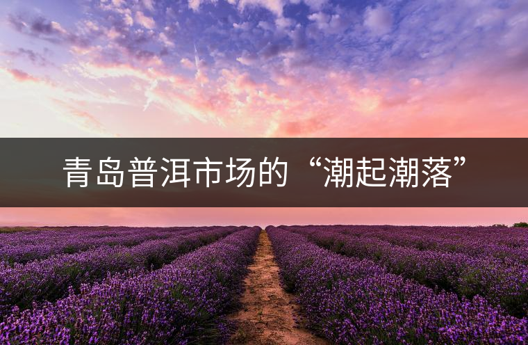 青島普洱市場的“潮起潮落”