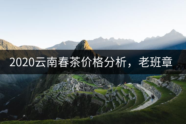2020云南春茶價格分析，老班章依然將獨占鰲頭？