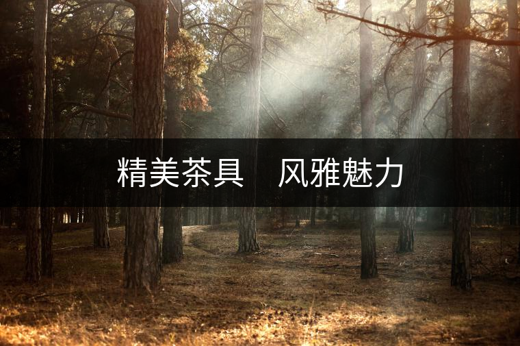精美茶具 風(fēng)雅魅力 精美茶具 風(fēng)雅魅力