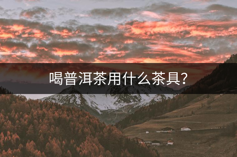 喝普洱茶用什么茶具？