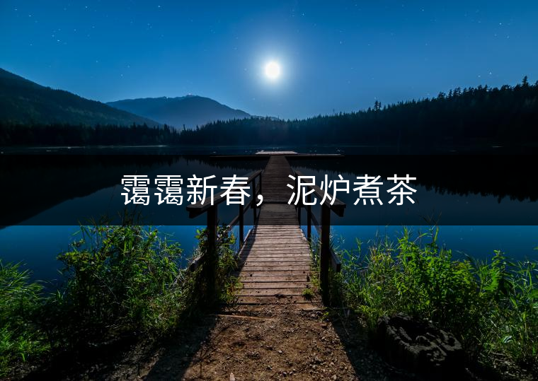 靄靄新春，泥爐煮茶