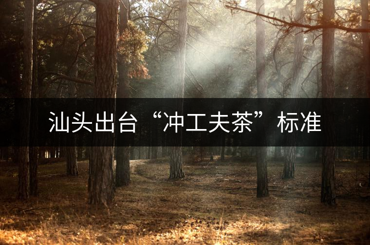 汕頭出臺“沖工夫茶”標(biāo)準(zhǔn)