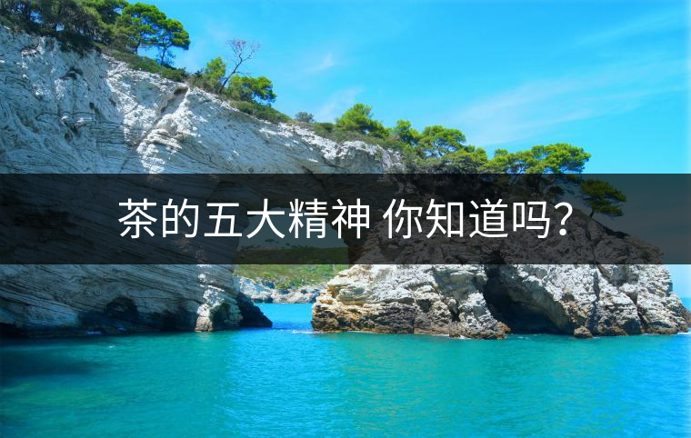 茶的五大精神 你知道嗎？