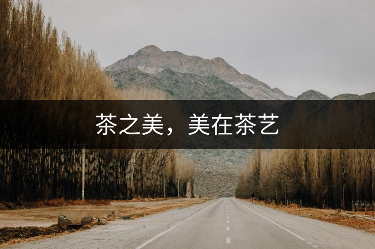 茶之美，美在茶藝