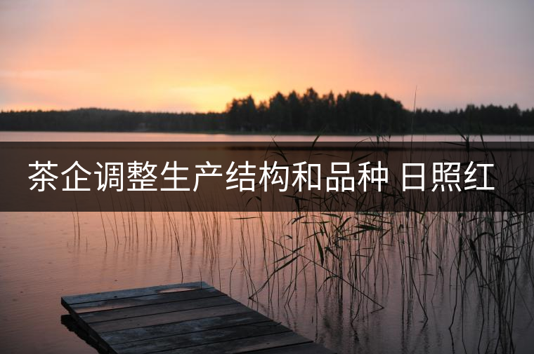 茶企調(diào)整生產(chǎn)結(jié)構(gòu)和品種 日照紅茶產(chǎn)量銷量齊看漲