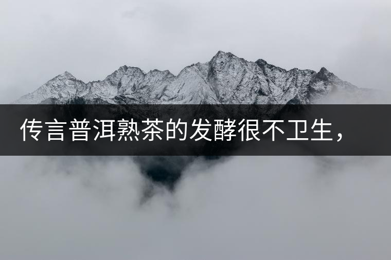 傳言普洱熟茶的發(fā)酵很不衛(wèi)生，是真的嗎？