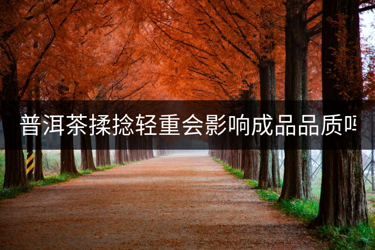 普洱茶揉捻輕重會影響成品品質(zhì)嗎？