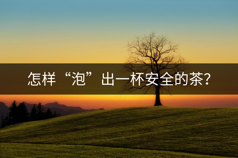怎樣“泡”出一杯安全的茶？
