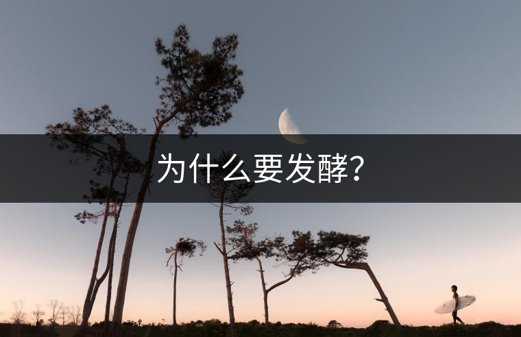 為什么要發(fā)酵？
