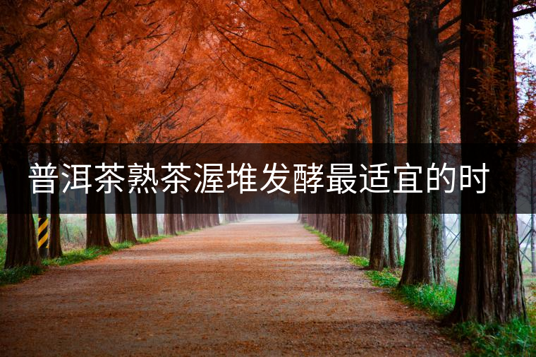 普洱茶熟茶渥堆發(fā)酵最適宜的時期是什么時候？