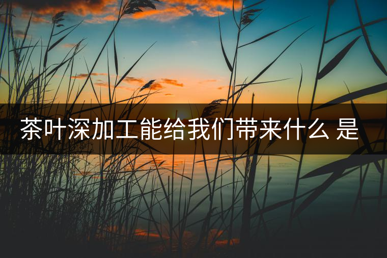 茶葉深加工能給我們帶來什么 是利還是弊呢？