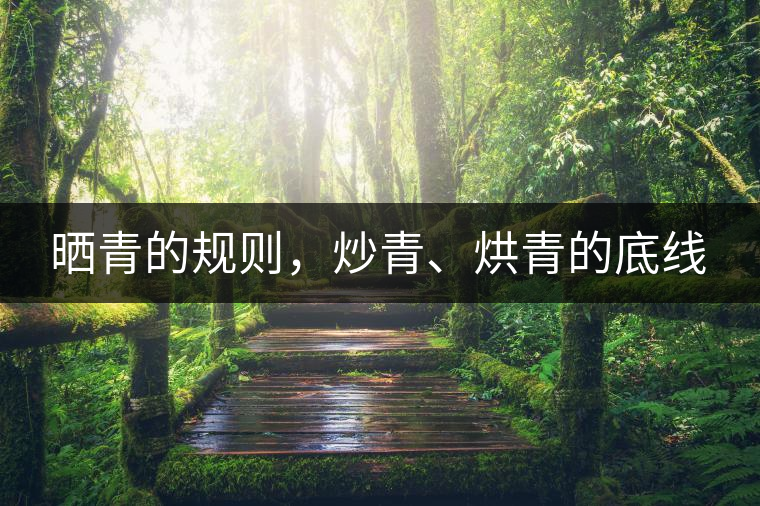 曬青的規(guī)則，炒青、烘青的底線