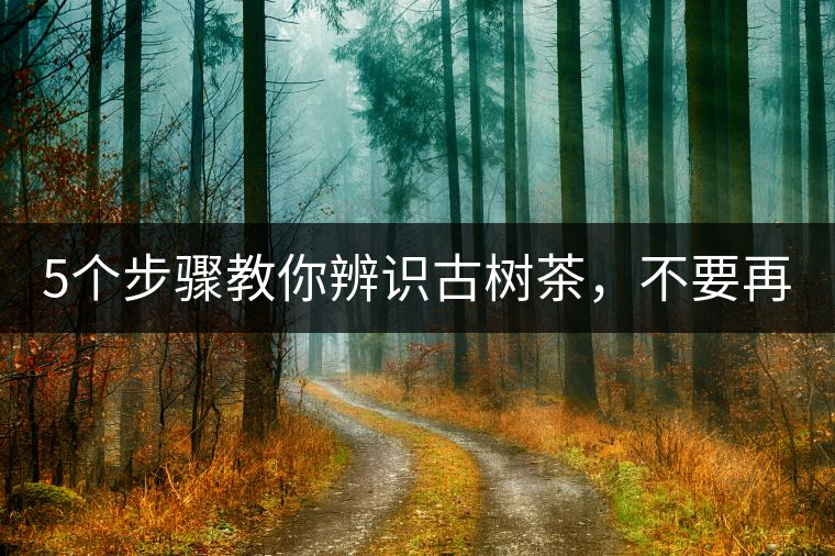 5個(gè)步驟教你辨識(shí)古樹茶，不要再被騙了！