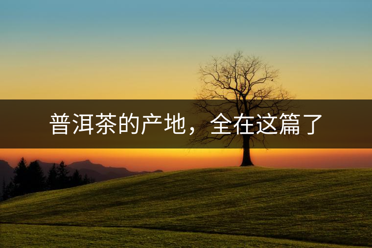 普洱茶的產(chǎn)地，全在這篇了