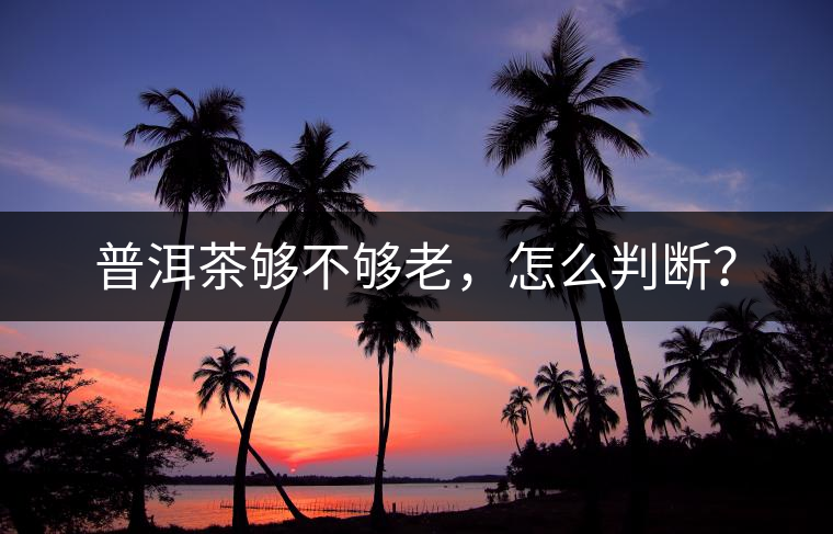 普洱茶夠不夠老，怎么判斷？