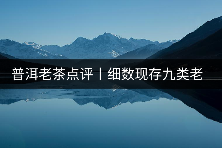 普洱老茶點評丨細數現(xiàn)存九類老茶的特點