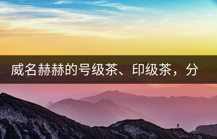 威名赫赫的號(hào)級(jí)茶、印級(jí)茶，分別是些什么普洱茶？