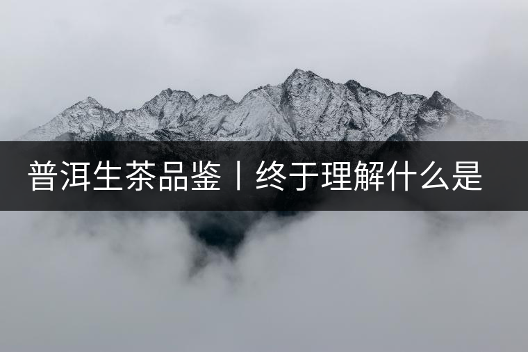 普洱生茶品鑒丨終于理解什么是“醇厚、耐泡，回甘”了