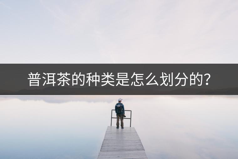 普洱茶的種類是怎么劃分的？