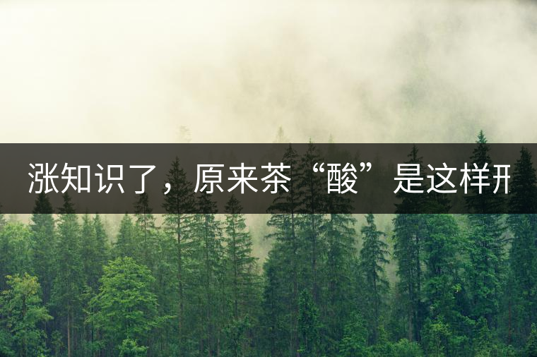 漲知識(shí)了，原來(lái)茶“酸”是這樣形成的！