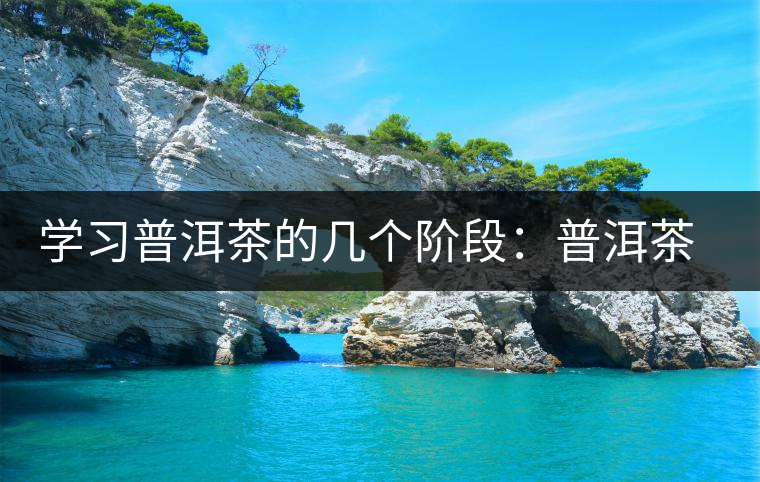 學(xué)習(xí)普洱茶的幾個(gè)階段:普洱茶愛(ài)好者進(jìn)階過(guò)程 學(xué)習(xí)普洱茶的幾個(gè)階段:普洱茶愛(ài)好者進(jìn)階過(guò)程