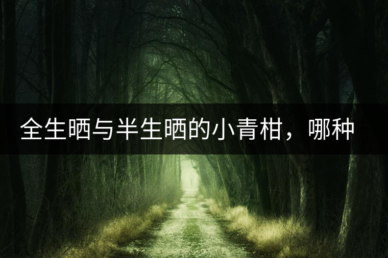 全生曬與半生曬的小青柑，哪種比較好呢？