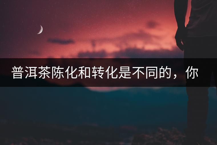 普洱茶陳化和轉(zhuǎn)化是不同的，你造嗎？