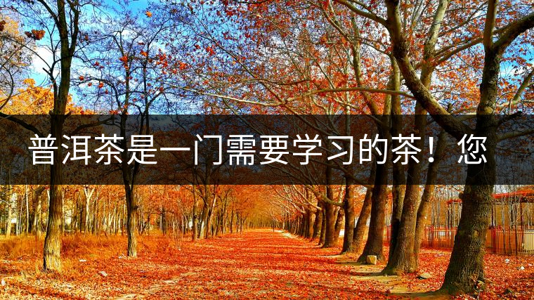 普洱茶是一門需要學習的茶！您學到了多少？看看專家怎么說