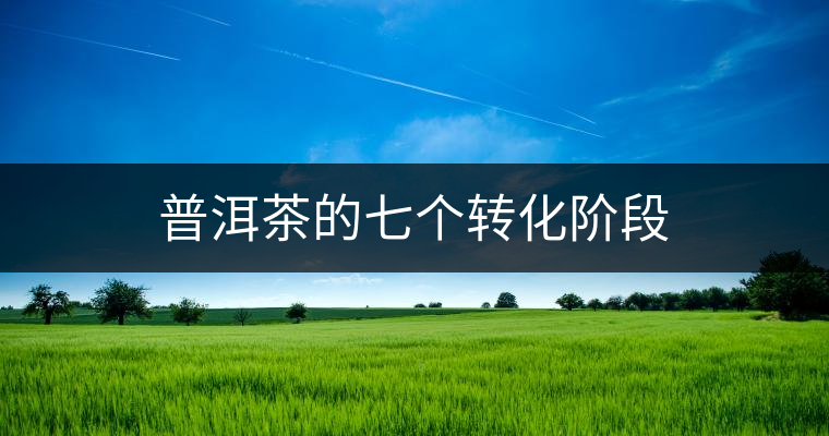 普洱茶的七個轉化階段 普洱茶的七個轉化階段