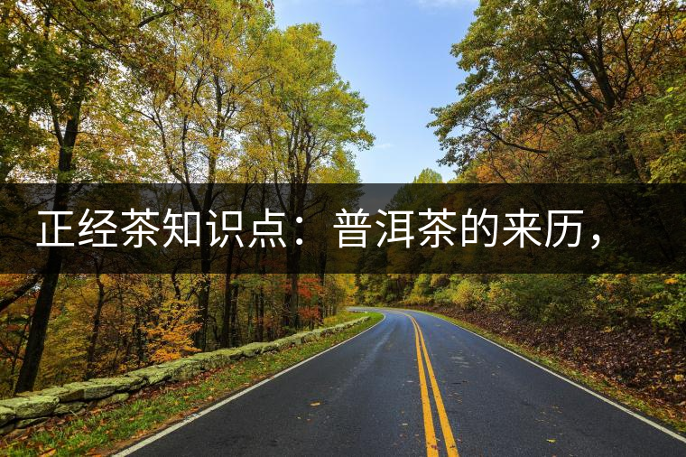 正經(jīng)茶知識點：普洱茶的來歷，保證你不知道！
