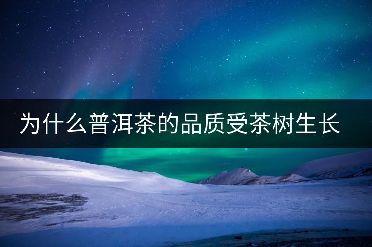 為什么普洱茶的品質(zhì)受茶樹生長環(huán)境的影響？