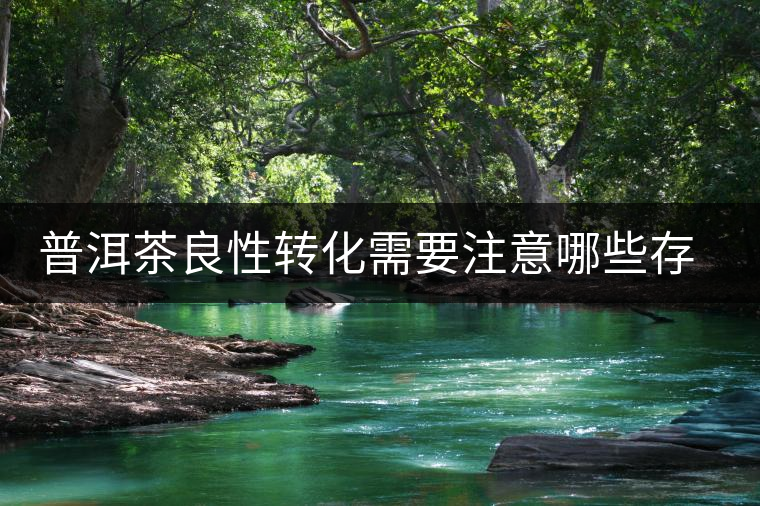 普洱茶良性轉(zhuǎn)化需要注意哪些存放問題？