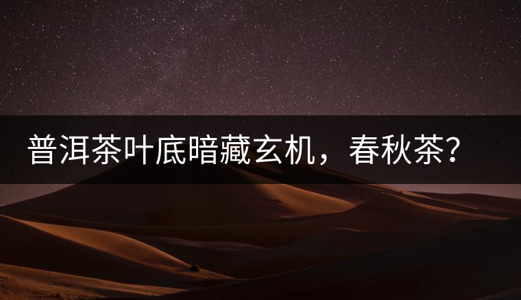 普洱茶葉底暗藏玄機，春秋茶？大樹茶？野生茶？班章料？你讀懂了嗎？